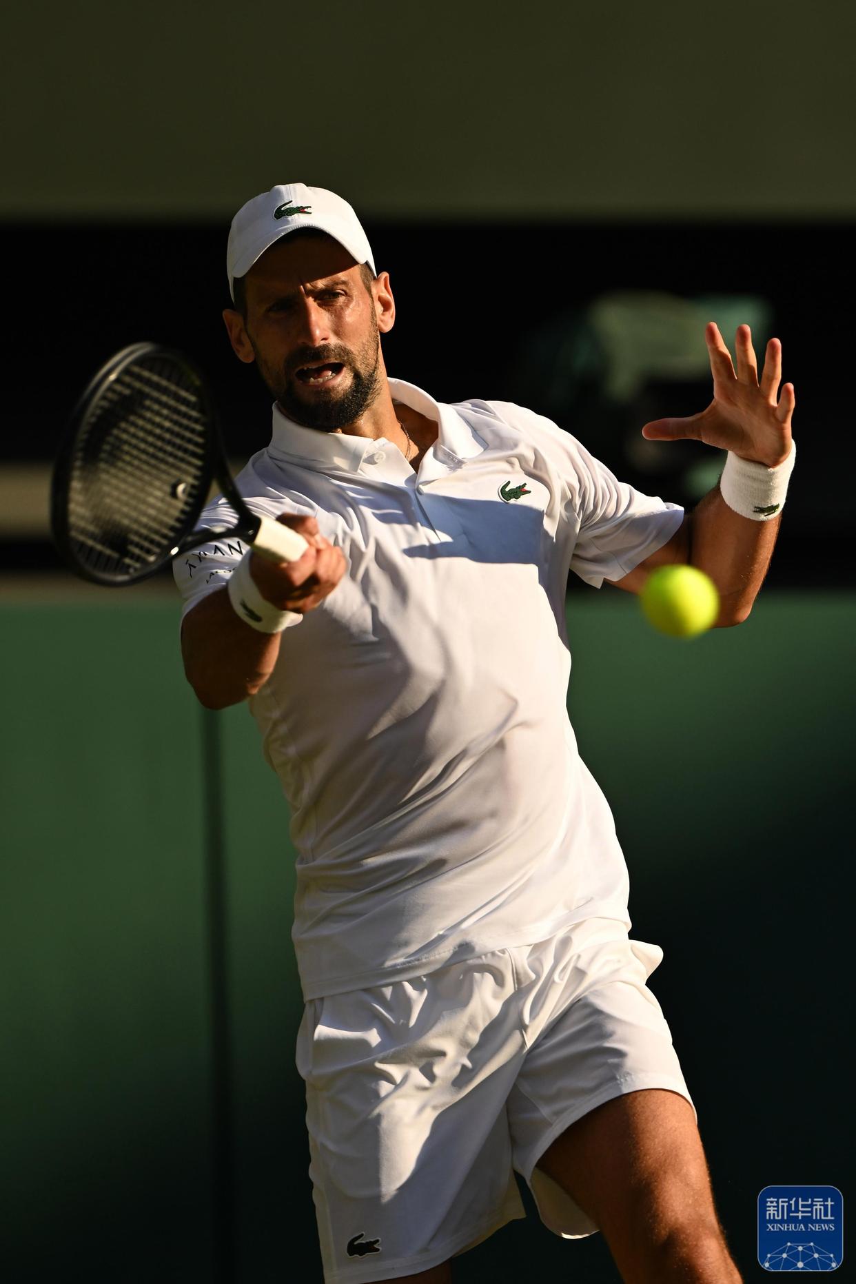 温网碾压戴维斯杯，辛纳刷新纪录