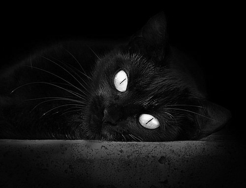 生涯之夜！乔治轰40+12+7终结悬念 篮网客场14分收割湖人