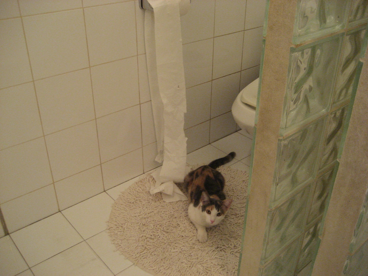 NBA季后赛之夜,苏亚雷斯的制胜传奇—从足球场到篮球馆的跨界奇迹