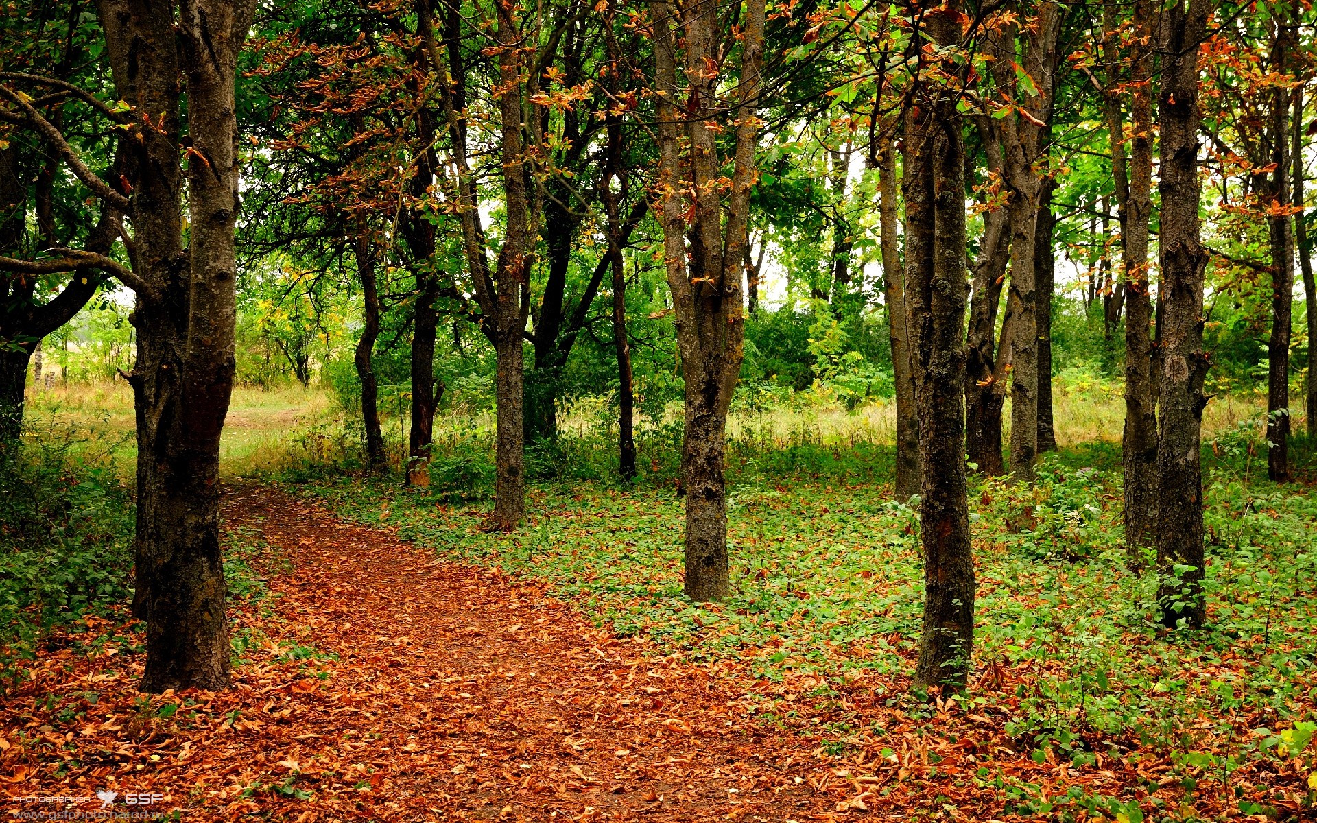 爱德华兹制胜一击定乾坤，广厦客场力克上海占得先机