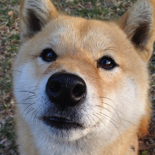 突尼斯铁蹄踏碎蓝月，无名小卒孔德如何让曼城王朝颤抖？