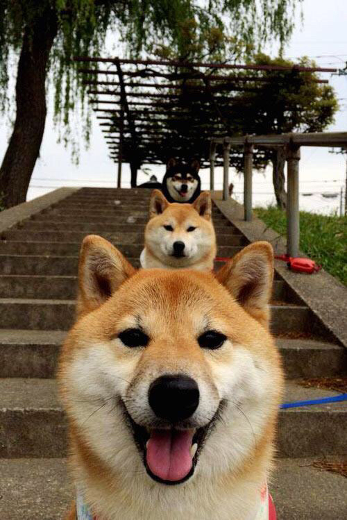 末节19分+7记三分！克莱冠军级表现力挽狂澜，吉林队憾负绿军展现亚洲之光