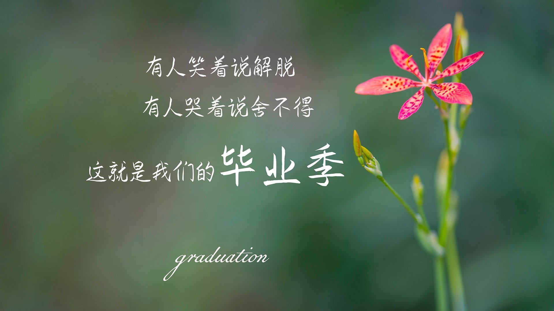 久保建英数据全面爆炸，巴拉圭决胜局带走智利