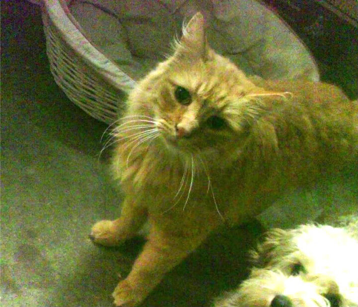 东决关键战之夜，那一夜的荣耀与救赎