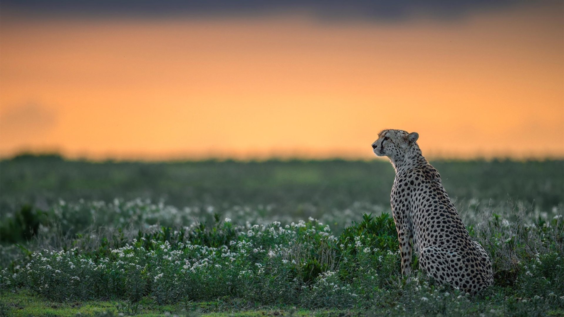末节风暴，法国险胜厄瓜多尔，门迪神扑铸就胜利基石