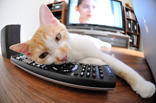 手术刀般精准，火箭战术冰封活塞，东契奇化身终结者，定义关键先生新标准