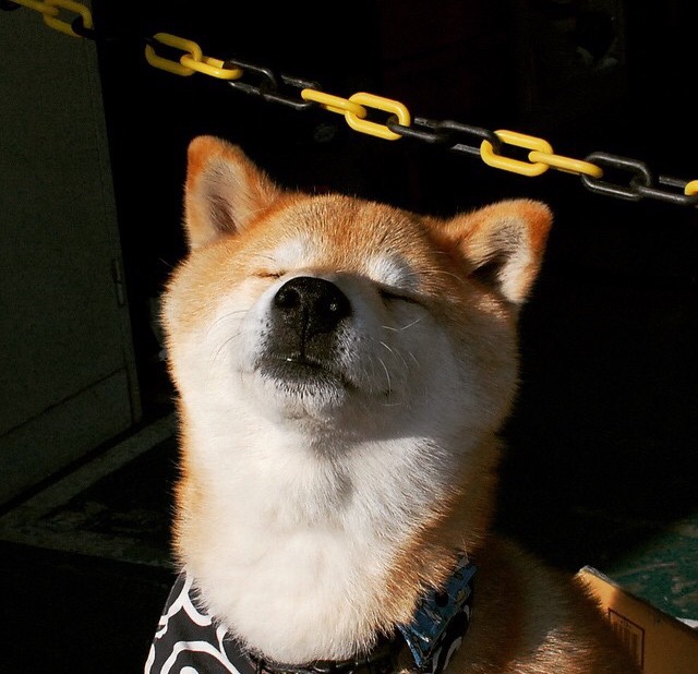 传奇的余晖，智利对阵乌拉圭一役，莫德里奇用全程高能输出点燃南美硝烟