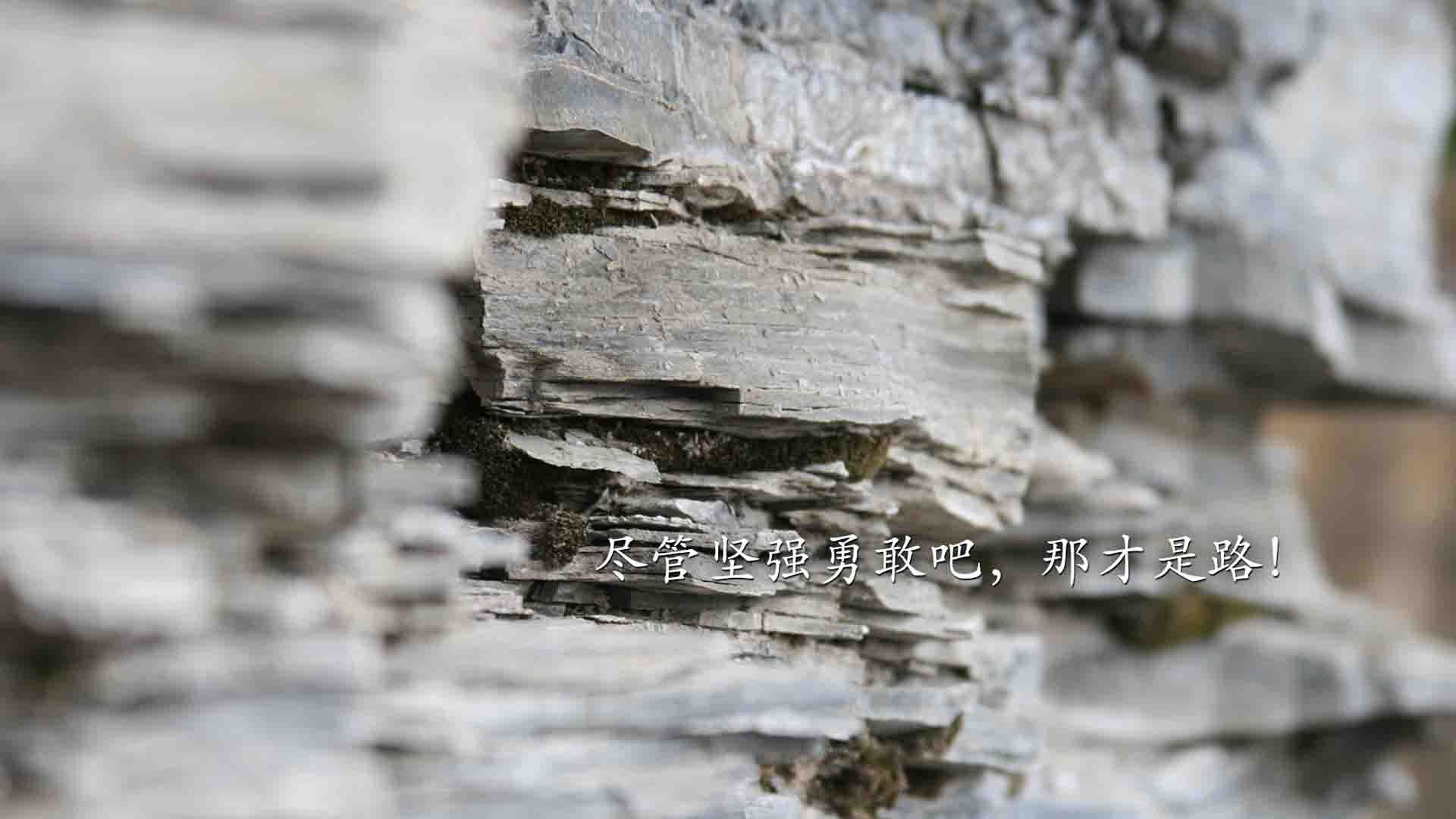 终点线前，赛道上的缠斗与非洲大陆的无声博弈