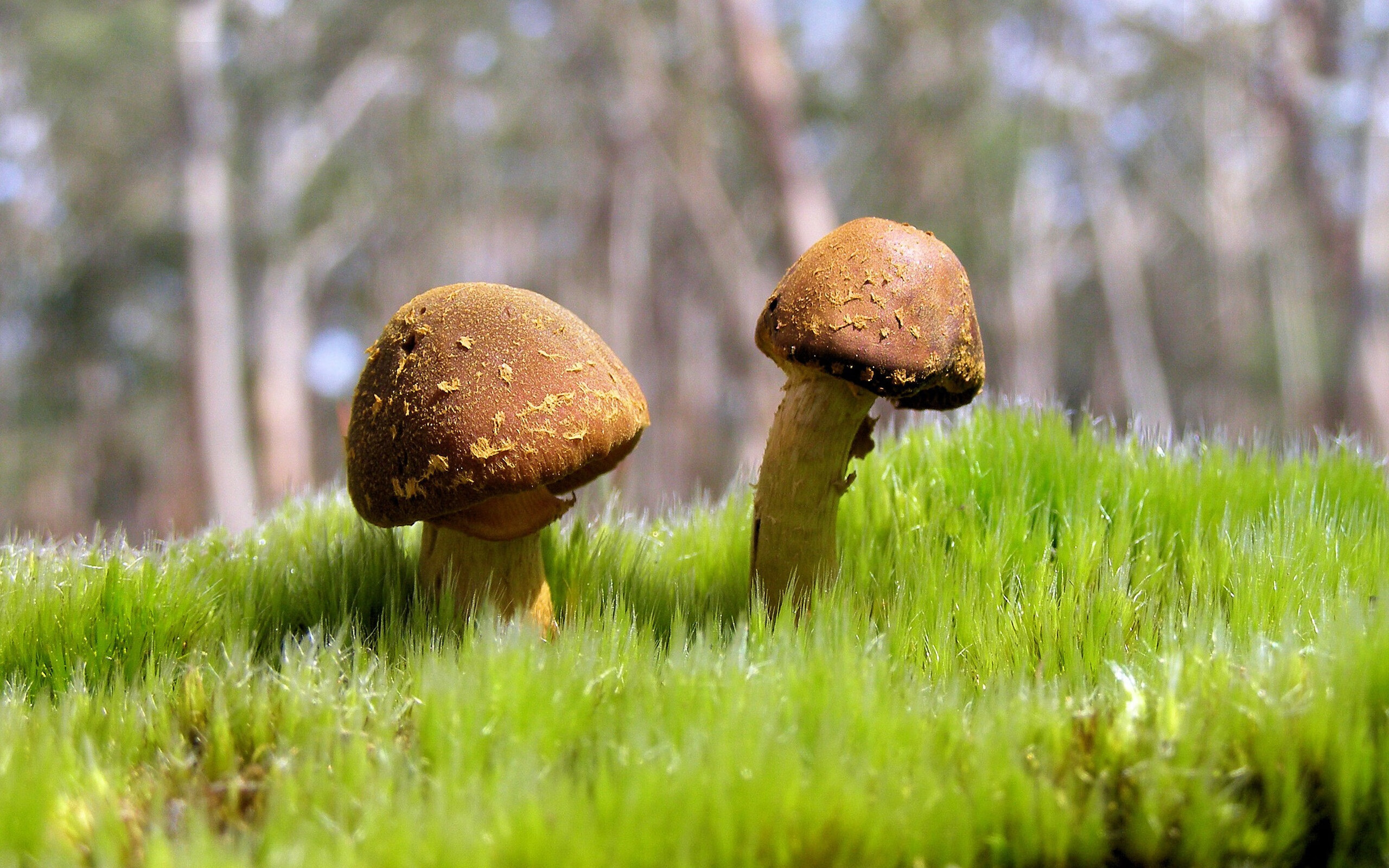 伊萨克单骑定乾坤！莱比锡单节爆发拉开里昂