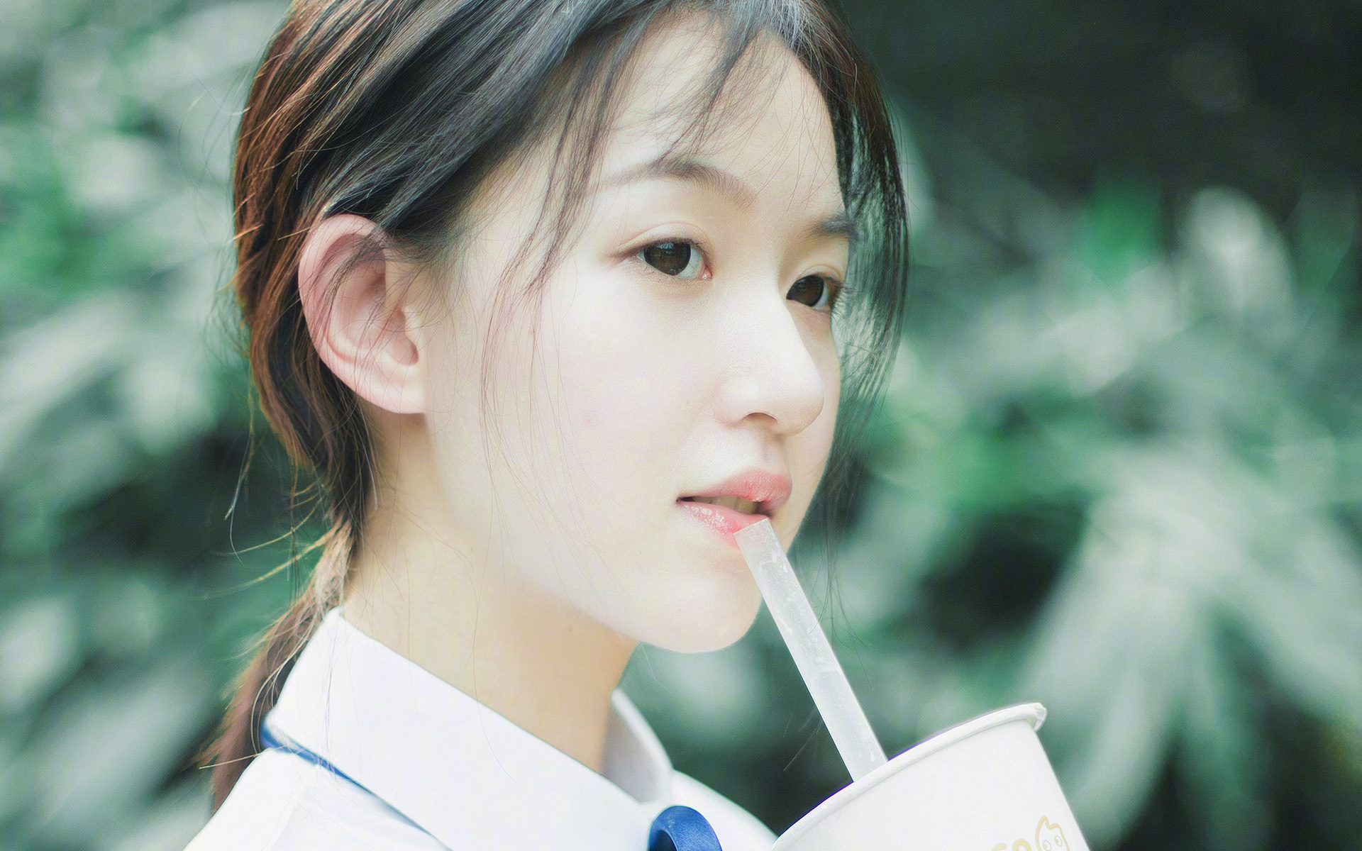 蜂群肆虐南海岸，霍勒迪主宰攻防—一场无懈可击的个人表演