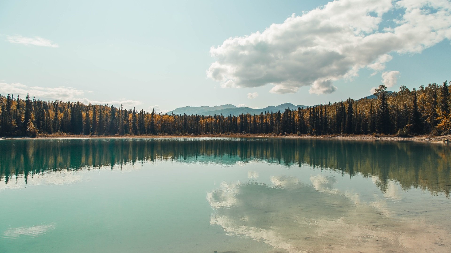绿茵场外的掌声，当孙兴慜成为一场无关他胜负的焦点